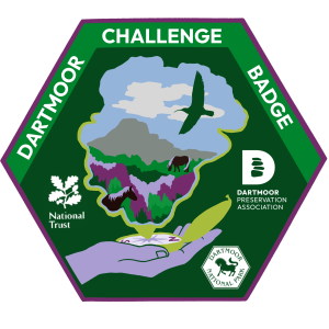 Dartmoor Challenge Badge general use